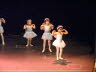 Dun Show 3-4 2011 123