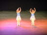 Dun Show 3-4 2011 186