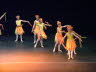 Dun Show 3-4 2011 235