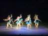 Dun Show 3-4 2011 263