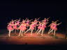 Dun Show 3-4 2011 325