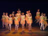 Dun Show 3-4 2011 334