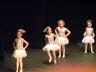 Dun Show 3 2011 261