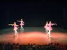 Peter Pan Dunfermline 233